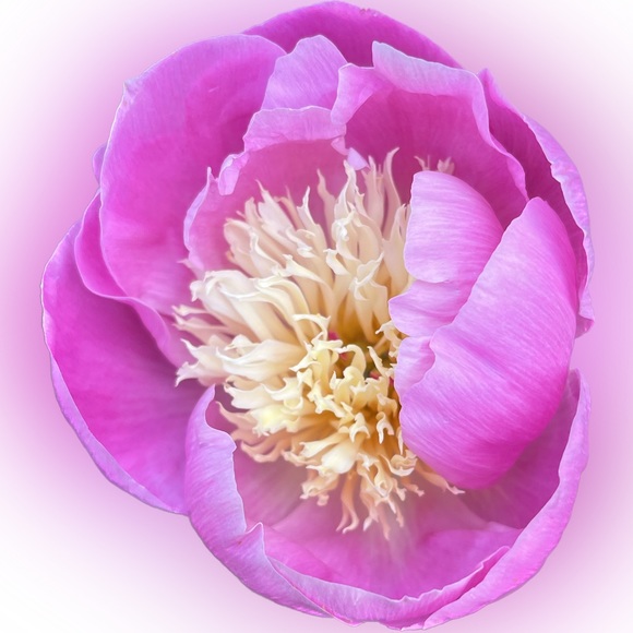 Meet your Posher, Flo - Picture 11 of 13